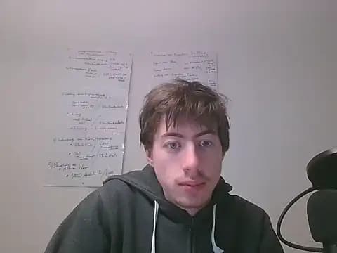 VelvetRagottiOG live cam