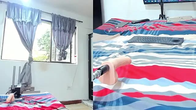 Charlotte_cloee live cam