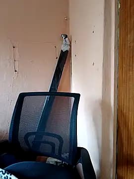 indianstrawberrylips4u live cam