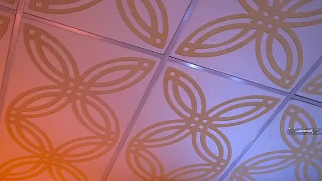 Piafisher_2 live cam