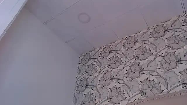 Venusandrea29 live cam