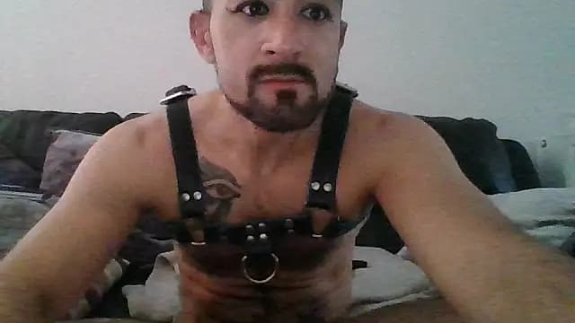 Agyptenman live cam on Stripchat