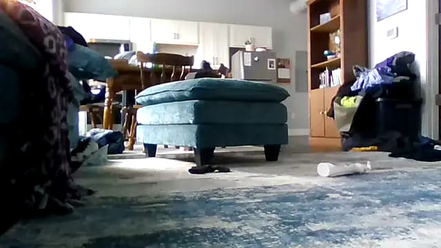 Bootycheekz live cam on Stripchat