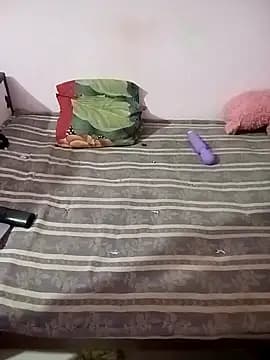 MANSI_HORNI86 live cam