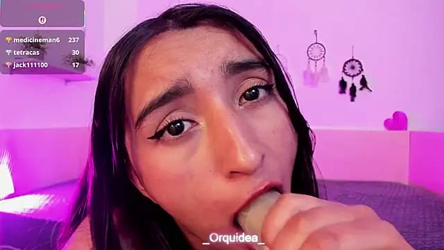 _Orquidea_ live cam