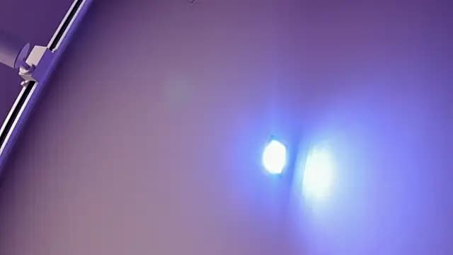 Kate_bunny_ live cam