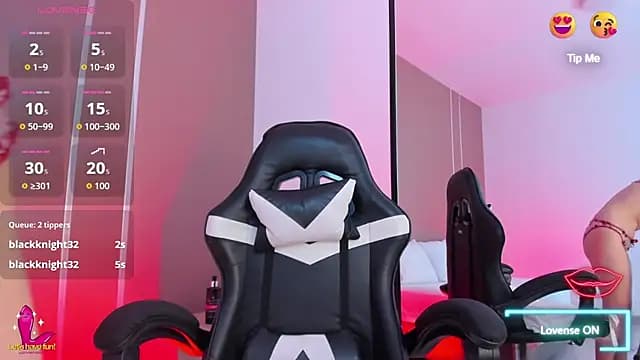 elaia_bridge live cam