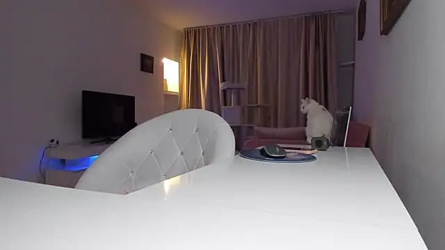 xqueenyasmine live cam