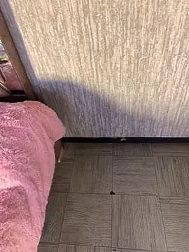 LunaMoore_Pink live cam on Stripchat