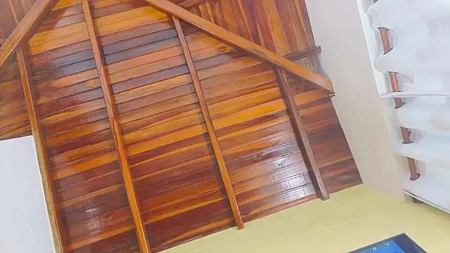 Isabella_Dawn live cam