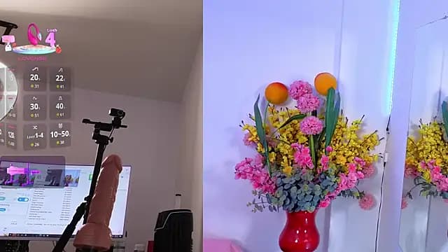 LittleSky__ live cam