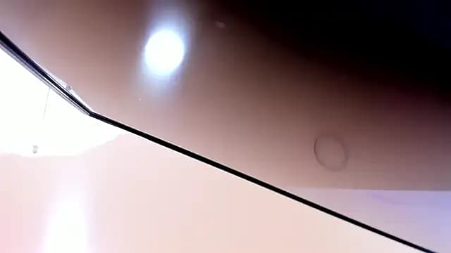 MeganVelvet_ live cam