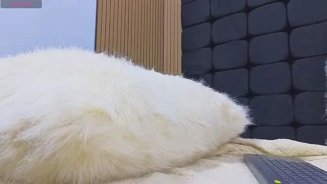 messy-saray live cam