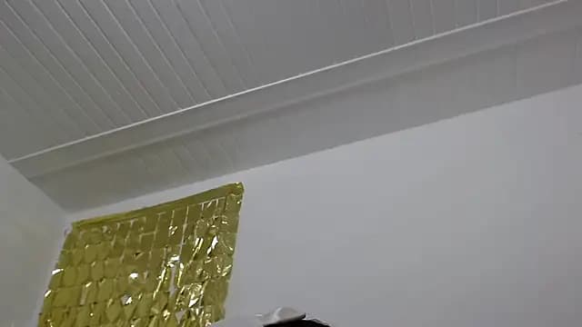 ElizabethMiler live cam on Stripchat