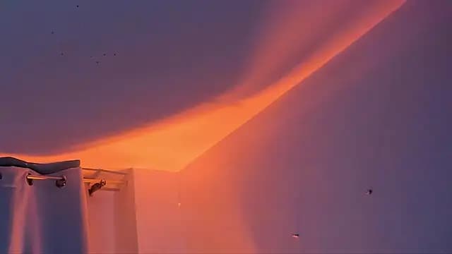 AnastasiaGreey live cam