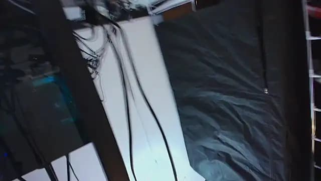 Liathompson_FG live cam