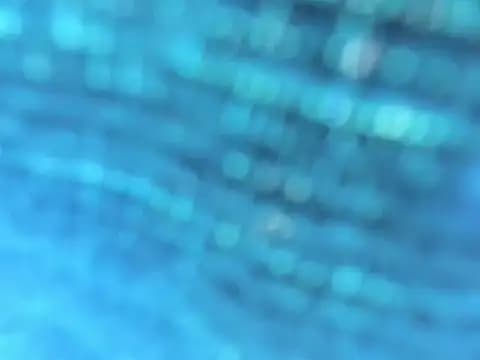 adhara_angelss live cam on Stripchat