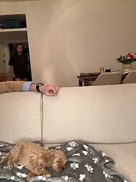 SophiiaStarr live cam