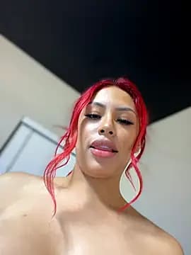 shaarebaare live cam