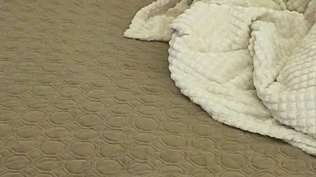 IceDanielles live cam