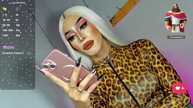 anitacruise live cam