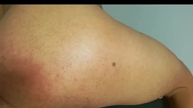 alejandrofoxnoir18 live cam