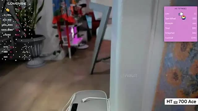 Vesagal live cam on Stripchat