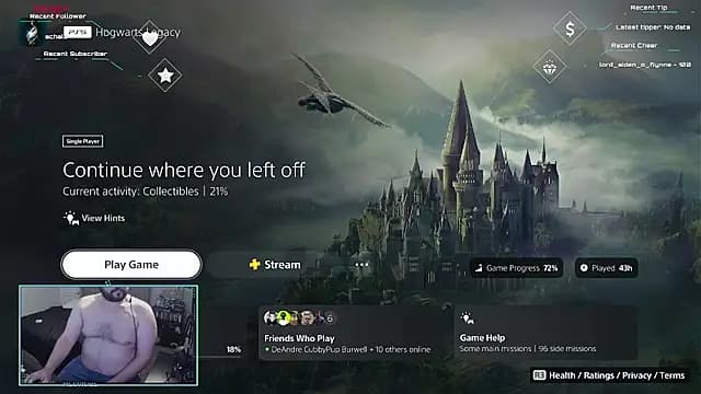 bottombeargaming live cam