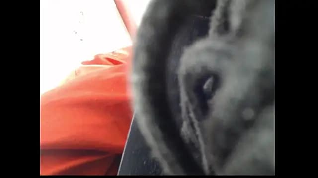 LADYSLAVEXXX live cam