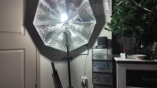 Triggerhappycj100 live cam on Stripchat