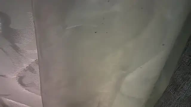 KungFuPanda001 live cam