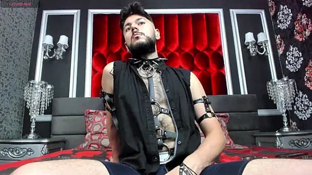 RavenKnight_ live cam