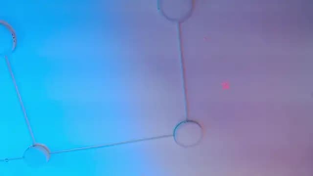 lunaember_cs live cam