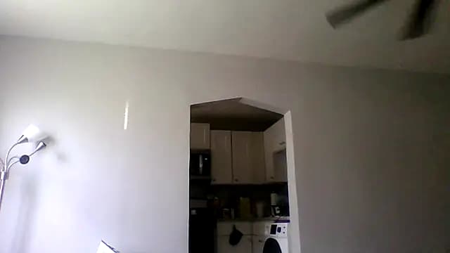 dezzidavill live cam