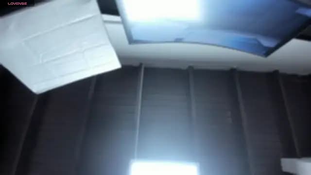 LessLee1 live cam