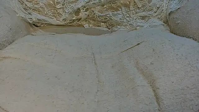 SEXYLIGHTBITCH live cam on Stripchat