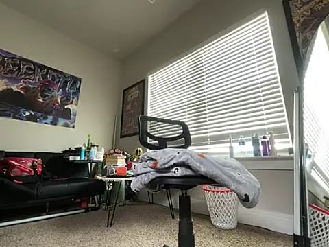 4EVAGLACIERS live cam