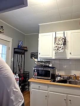 Icebearsticlese live cam