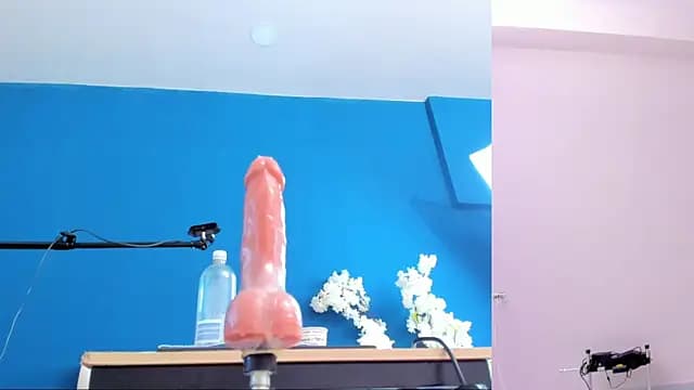 letty_straus live cam