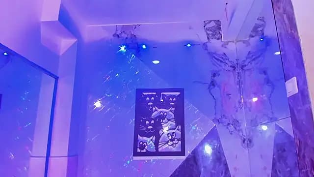 Isabella_stanford2 live cam