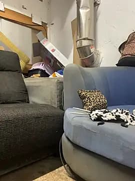 ZorraDeFuego live cam