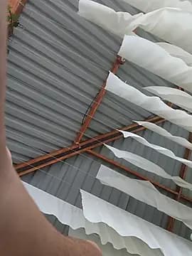 Isabella_Stark live cam