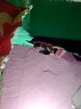 Poonam_bhoji live cam