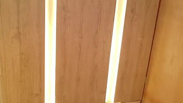 JakeandHeidy live cam