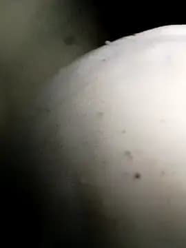 Bigcockmexi13 live cam