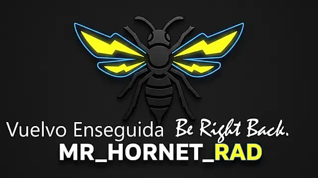 Mr_Hornet_Rad live cam
