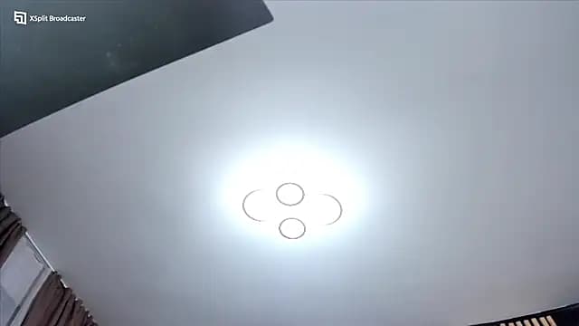 fireflowers_ live cam