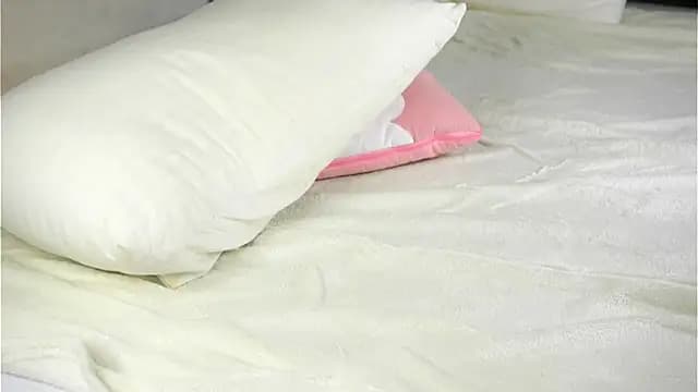 MelaniSeiver live cam