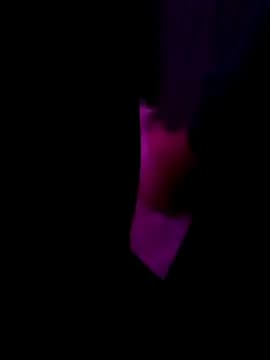 EgyptianHorse live cam on Stripchat