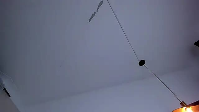 bloom_apple live cam